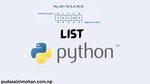 Working with Lists in Python